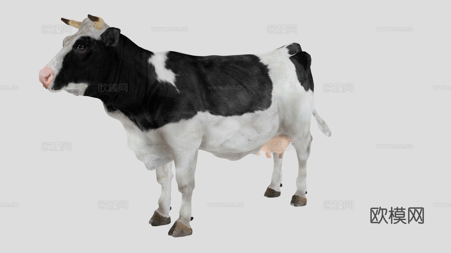 奶牛3d模型下载（渲染图1）