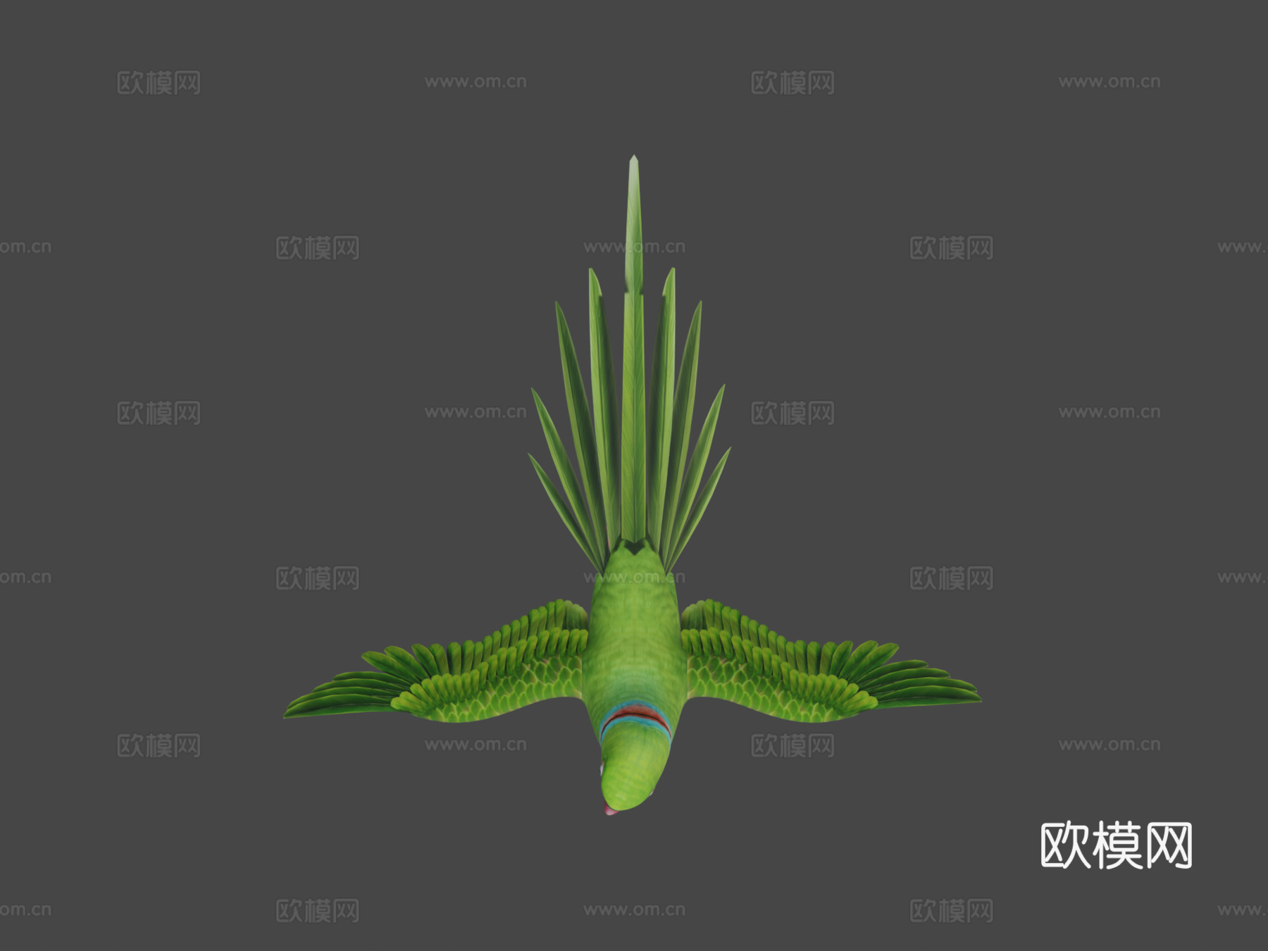 鹦鹉3d模型下载（渲染图8）
