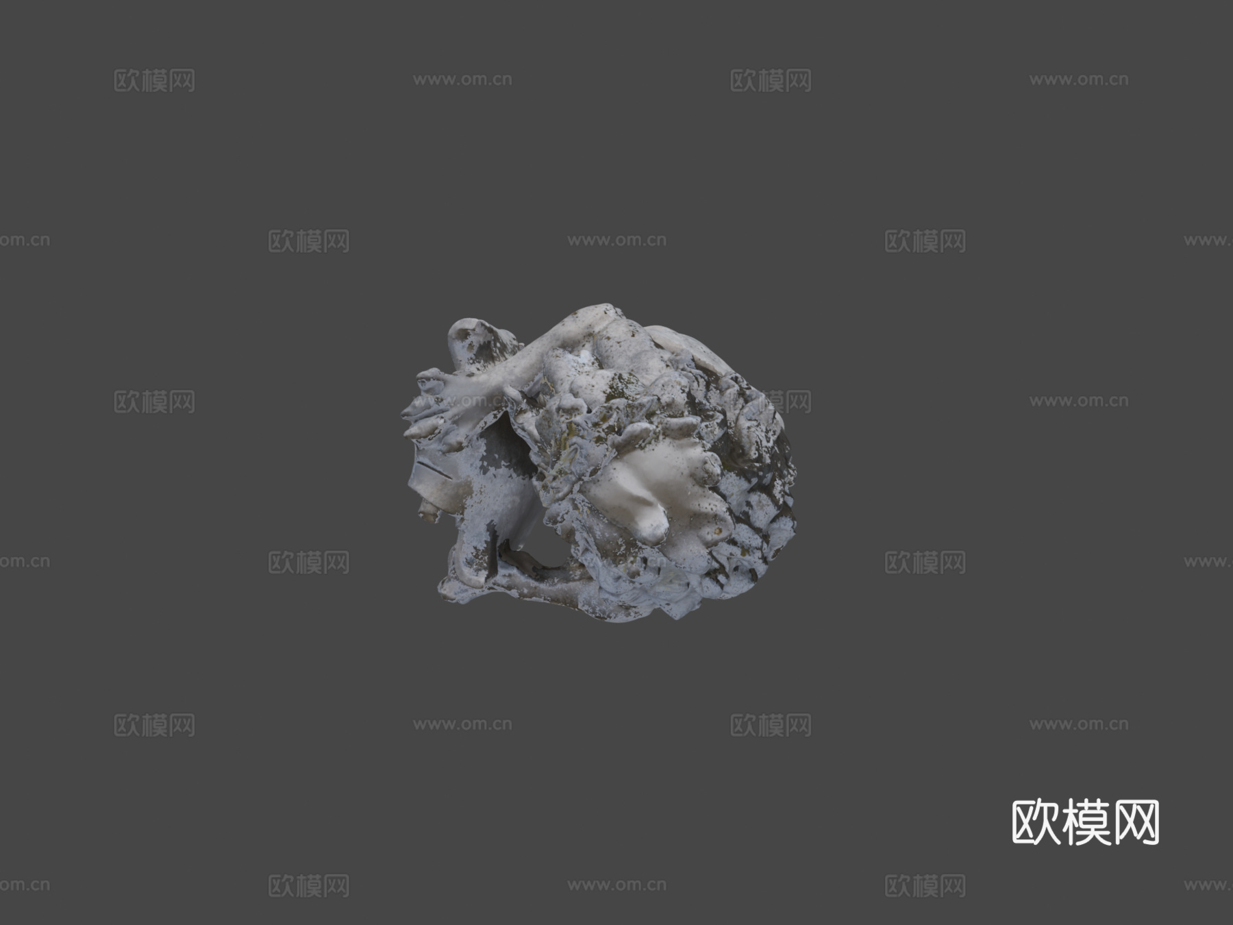 抓住弗朗茨冯约翰3d模型