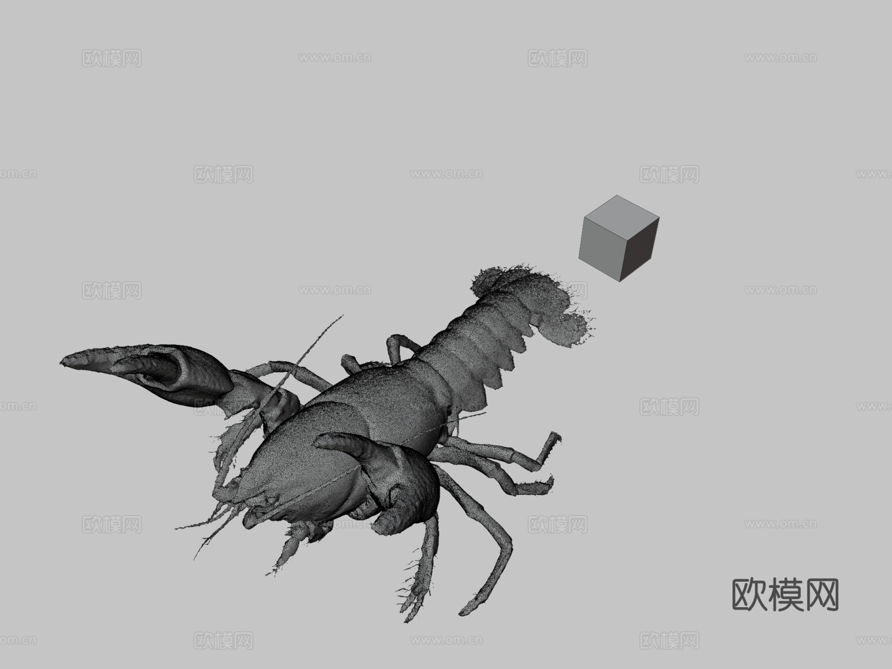 CC0日本蝲蛄日本螯虾C.japonicus3d模型下载（渲染图3）