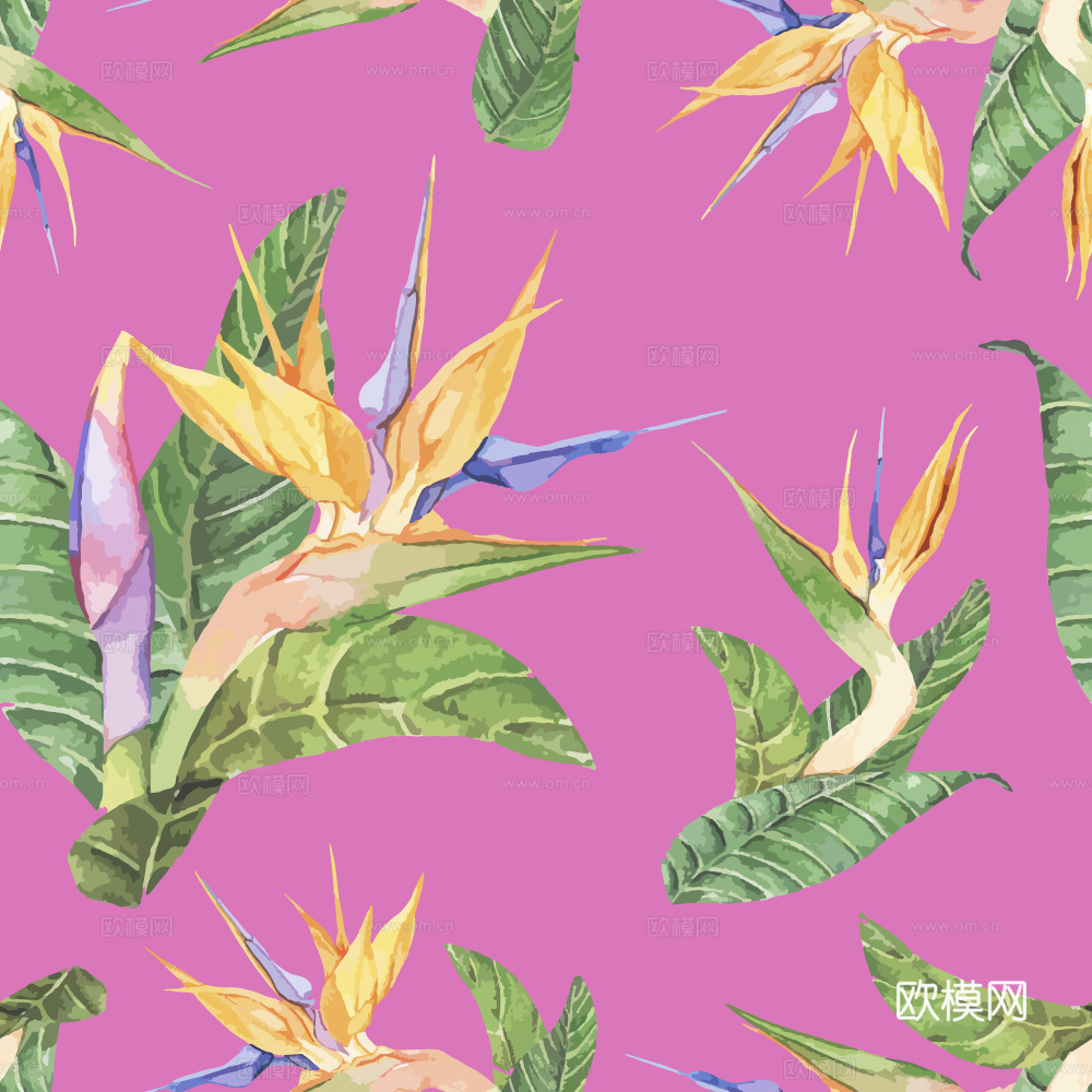 小清晰动植物图案纹理肌理28