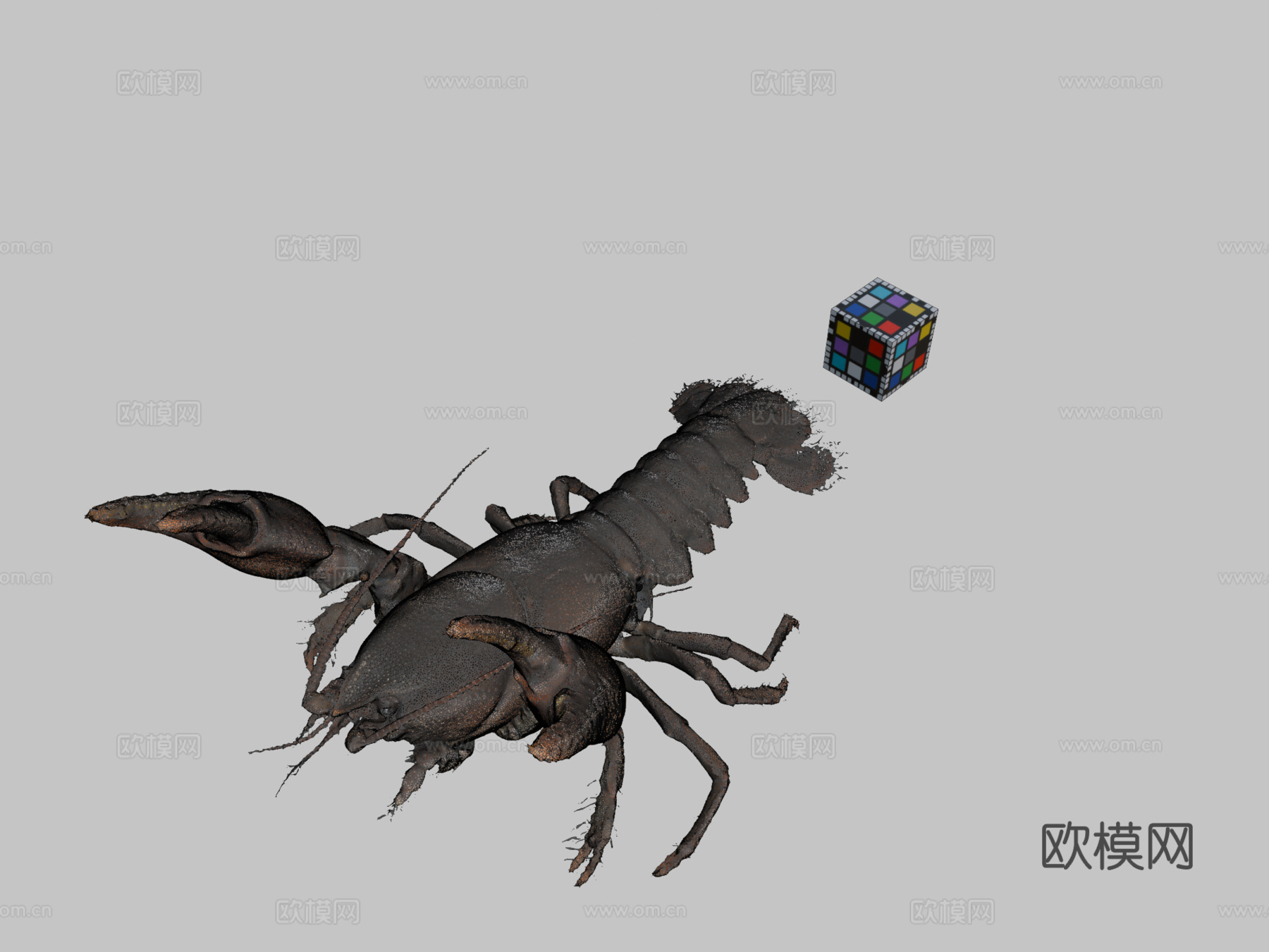 CC0日本蝲蛄日本螯虾C.japonicus3d模型下载（渲染图2）