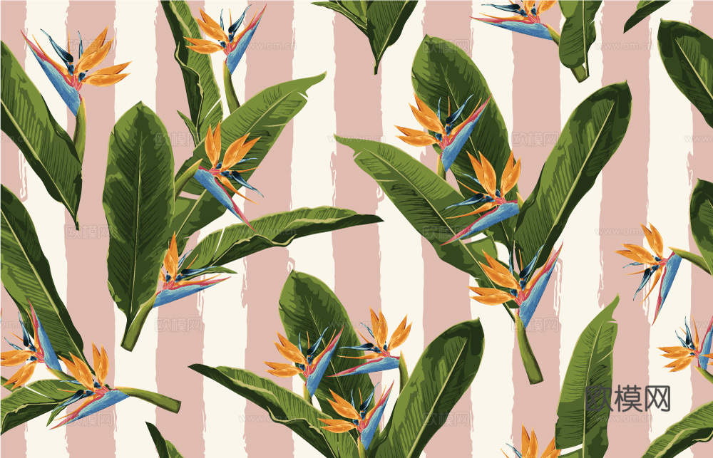 小清晰动植物图案纹理肌理44