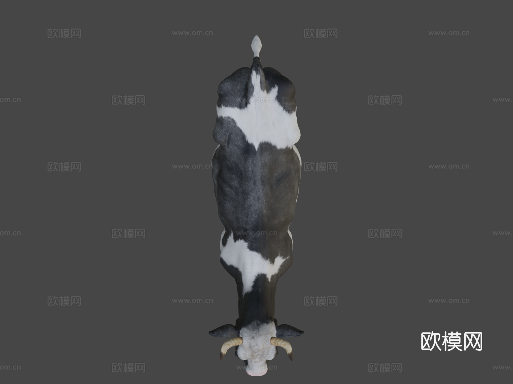 奶牛3d模型下载（渲染图6）