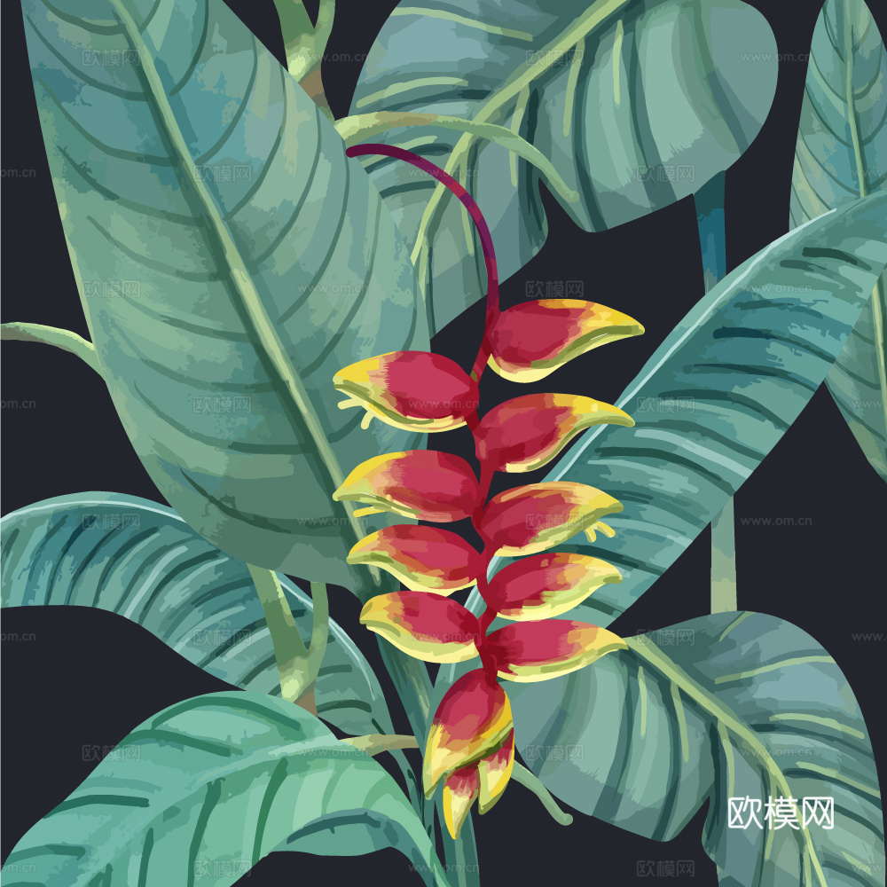 小清晰动植物图案纹理肌理20