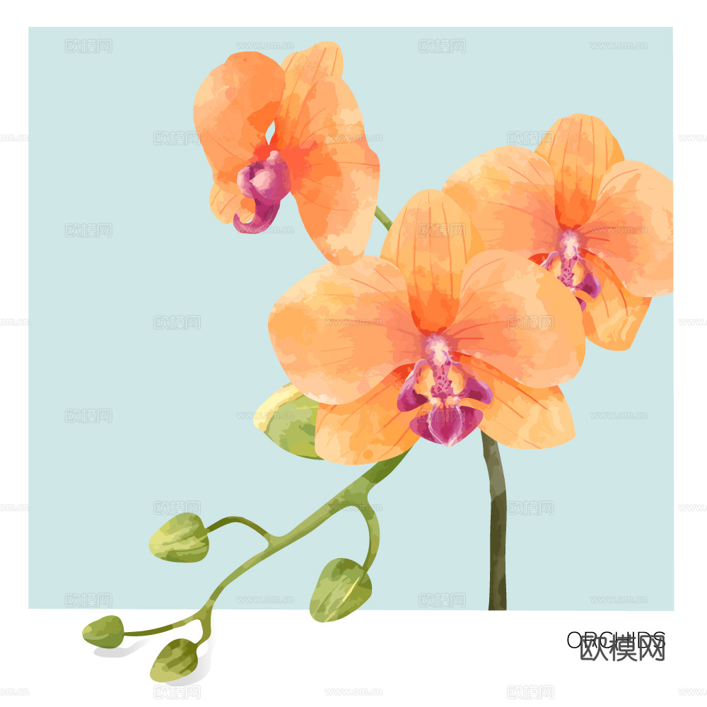 小清晰动植物图案纹理肌理43