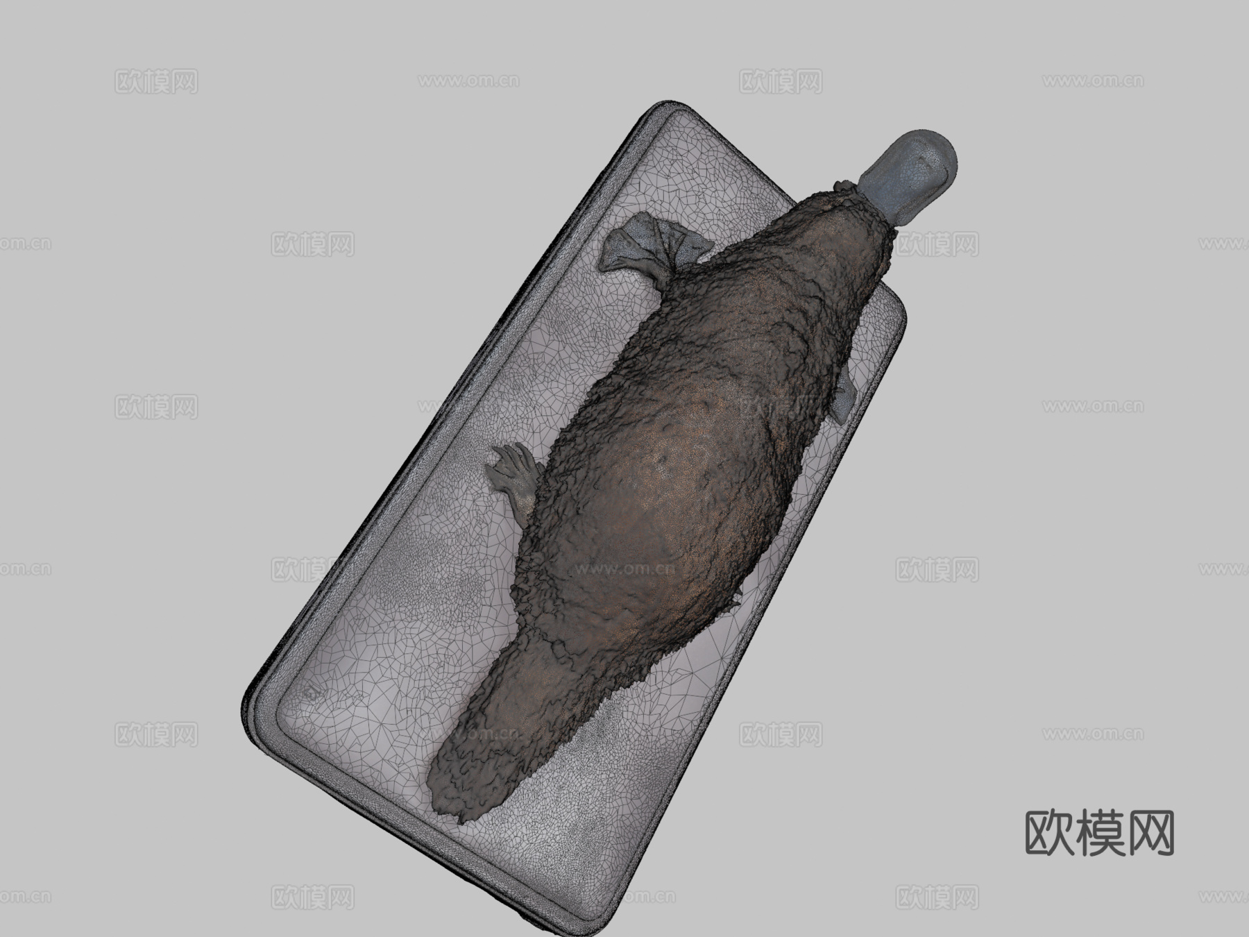 鸭嘴兽3d模型下载（渲染图2）