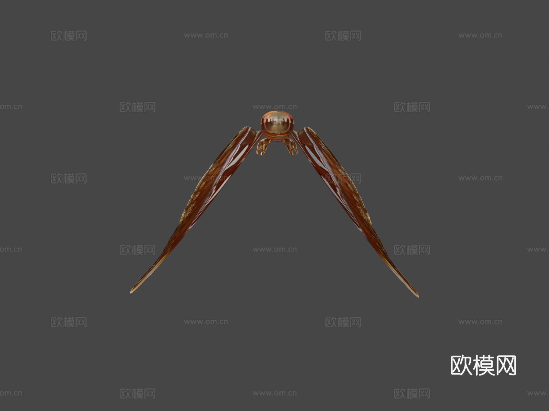 阿特拉斯蛾蝴蝶蛾3d模型下载（渲染图5）