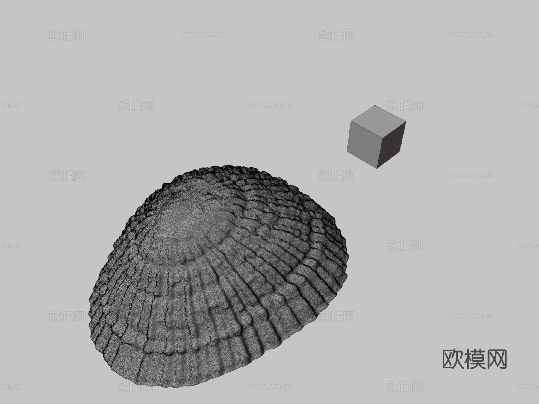 CC0琥珀伞日本格氏帽贝C.grata3d模型下载（渲染图3）