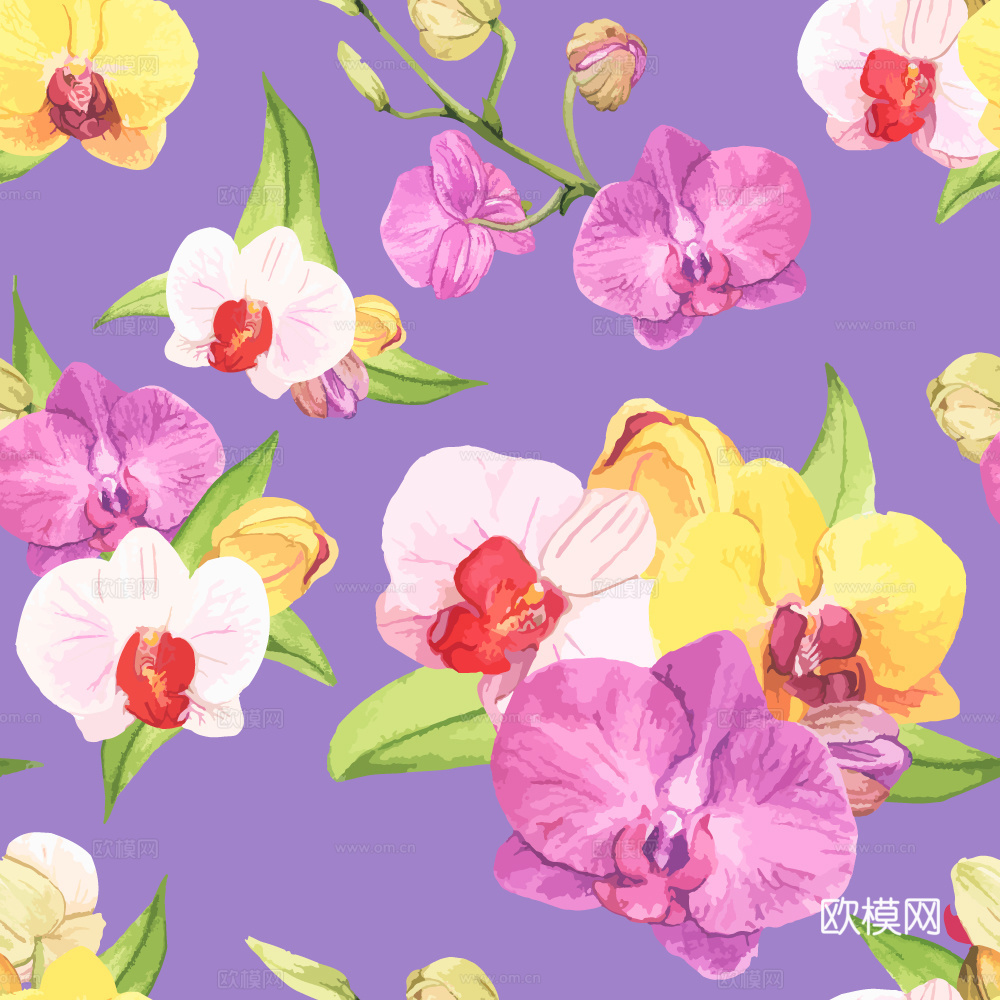 小清晰动植物图案纹理肌理19