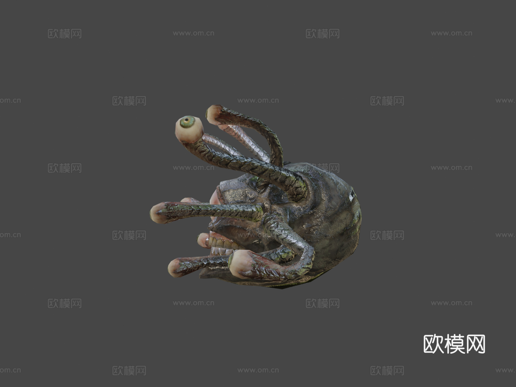 希腊老板亡灵之眼枪派冒险3d模型下载（渲染图6）