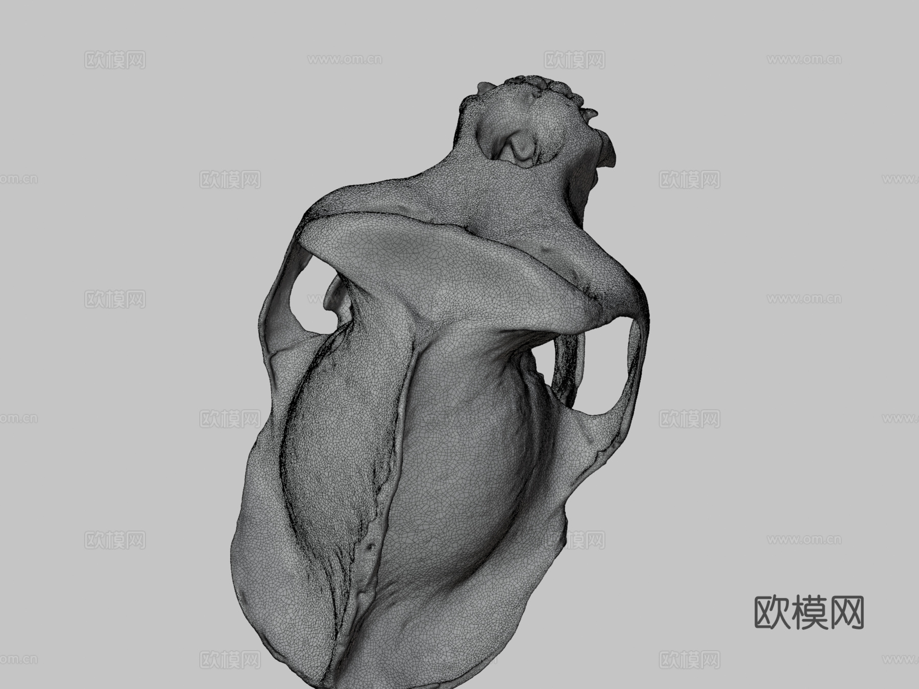 西部低地大猩猩3d模型下载（渲染图3）