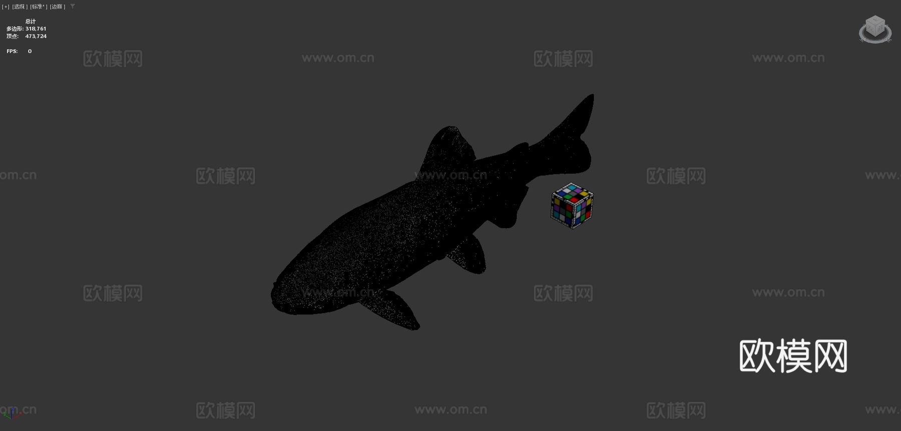 CC0山女樱鳟3d模型下载（渲染图4）