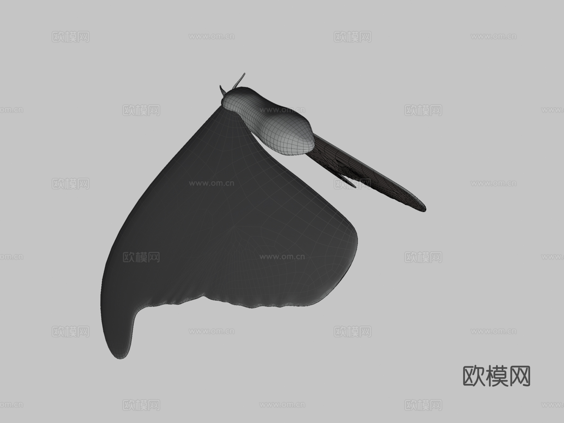 阿特拉斯蛾蝴蝶蛾3d模型下载（渲染图3）