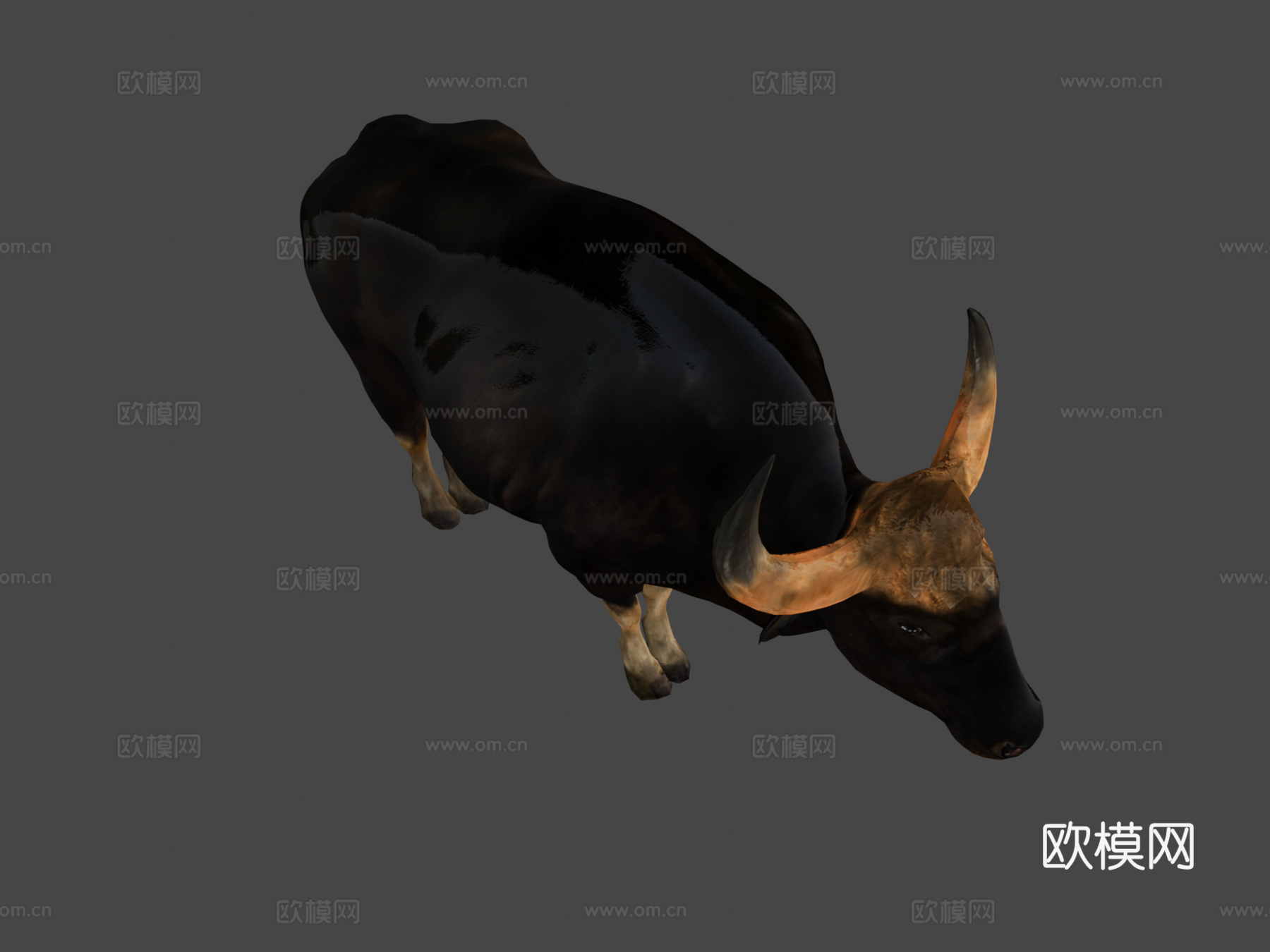 马来亚印度野牛濒危3d模型下载（渲染图6）