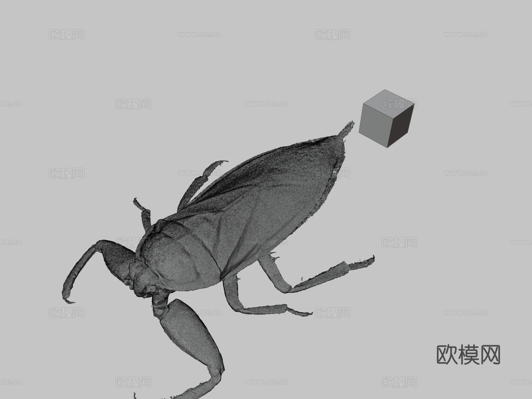 CC0日本大田鳖3d模型下载（渲染图3）