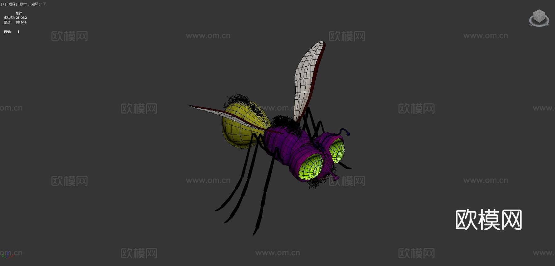 萤火虫3d模型下载（渲染图4）