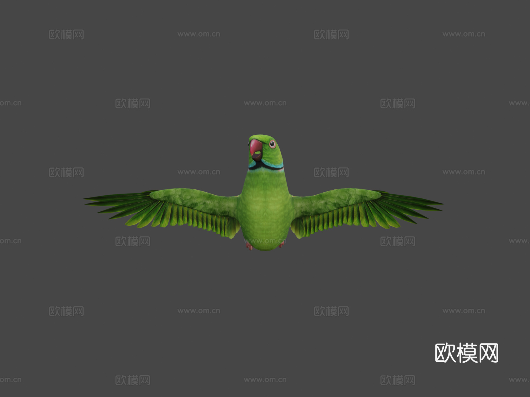 鹦鹉3d模型下载（渲染图7）