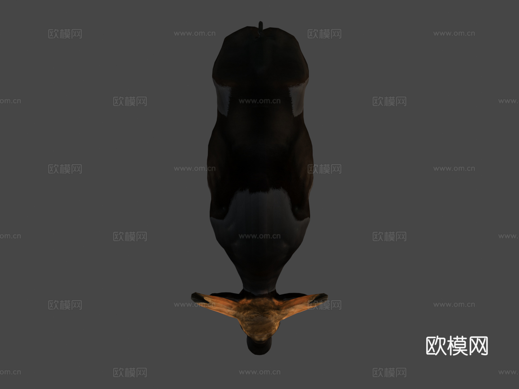 马来亚印度野牛濒危3d模型下载（渲染图7）