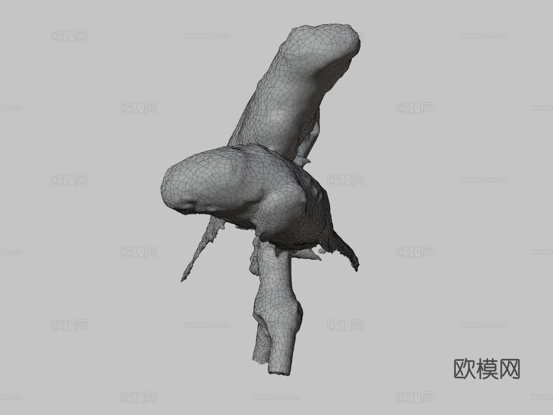 两只长尾鹦鹉带声音3d模型下载（渲染图3）