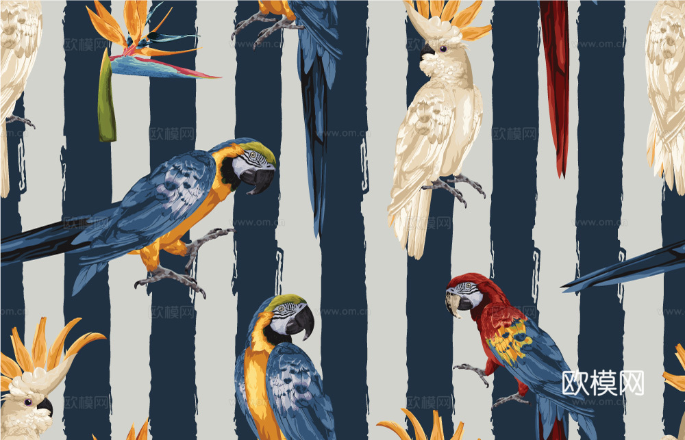 小清晰动植物图案纹理肌理45