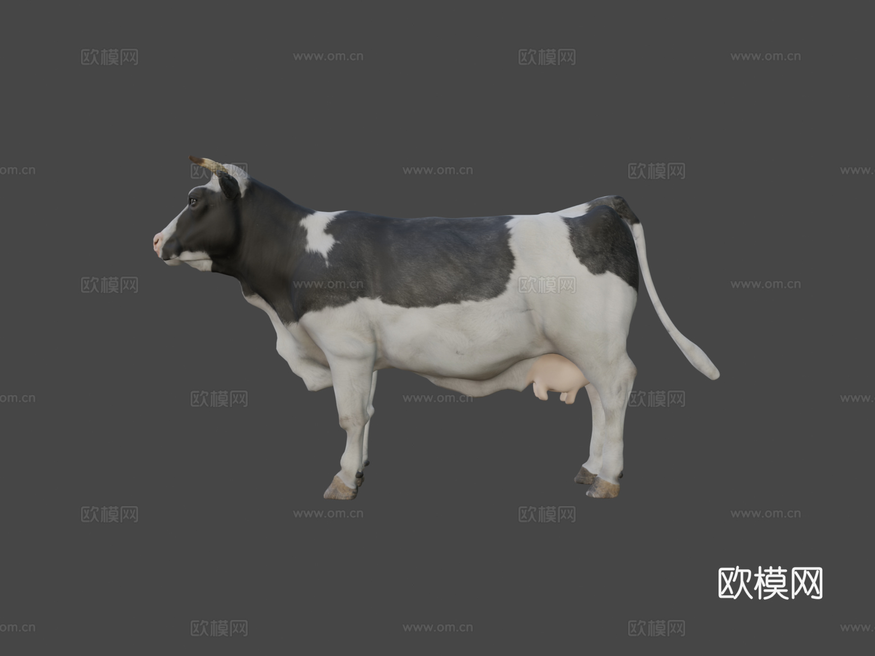 奶牛3d模型下载（渲染图7）