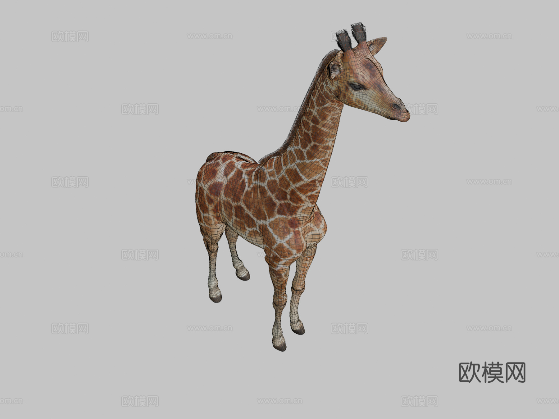 闪亮长颈鹿3d模型下载（渲染图2）