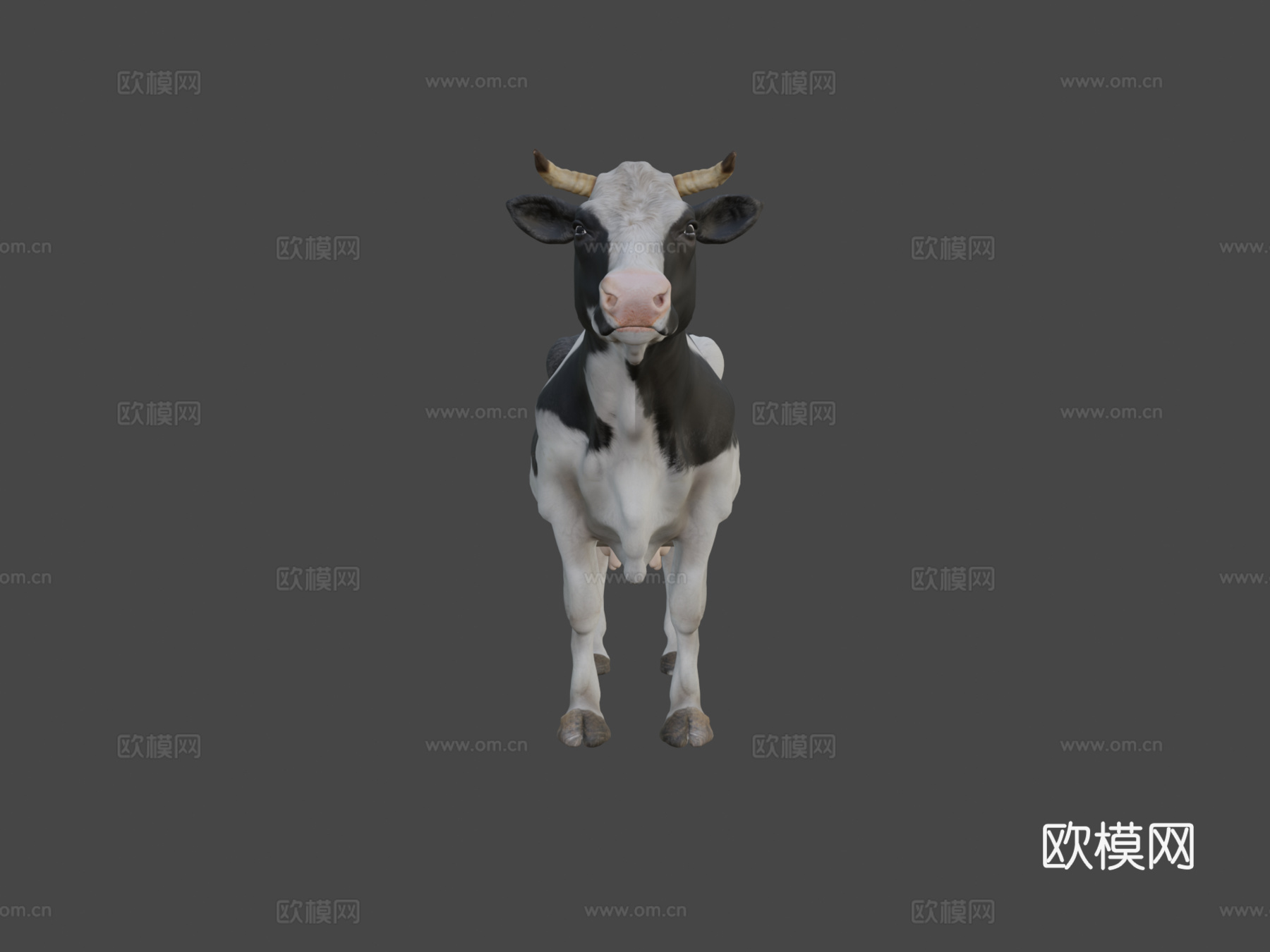 奶牛3d模型下载（渲染图5）