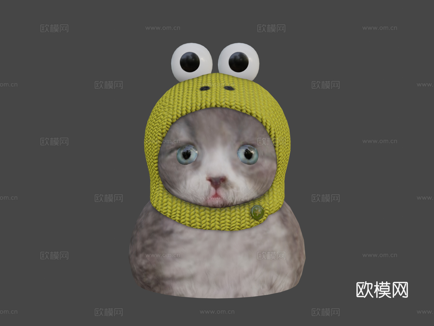 戴帽子的猫3d模型下载（渲染图7）