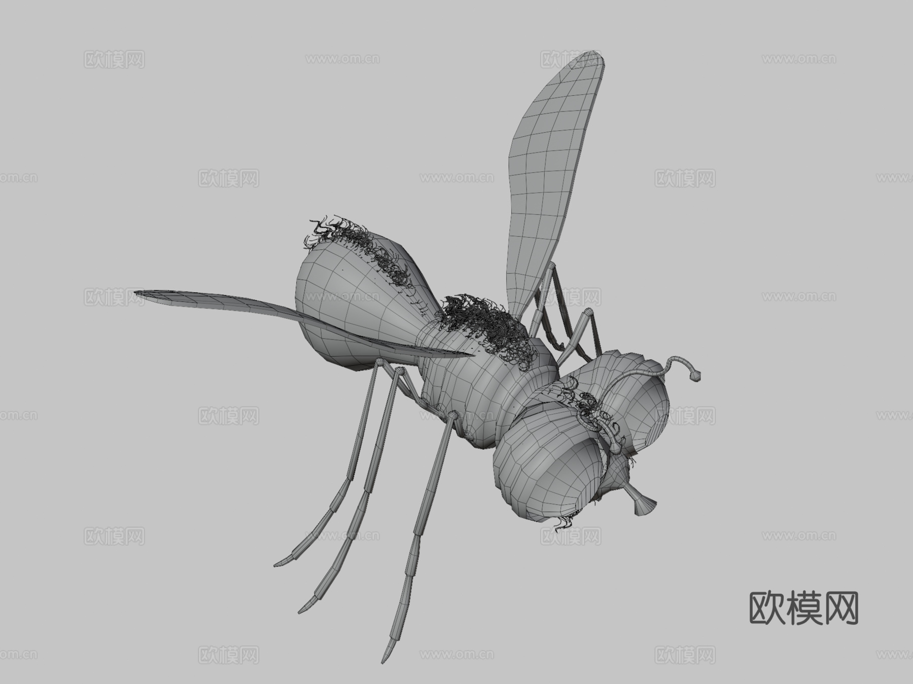 萤火虫3d模型下载（渲染图3）