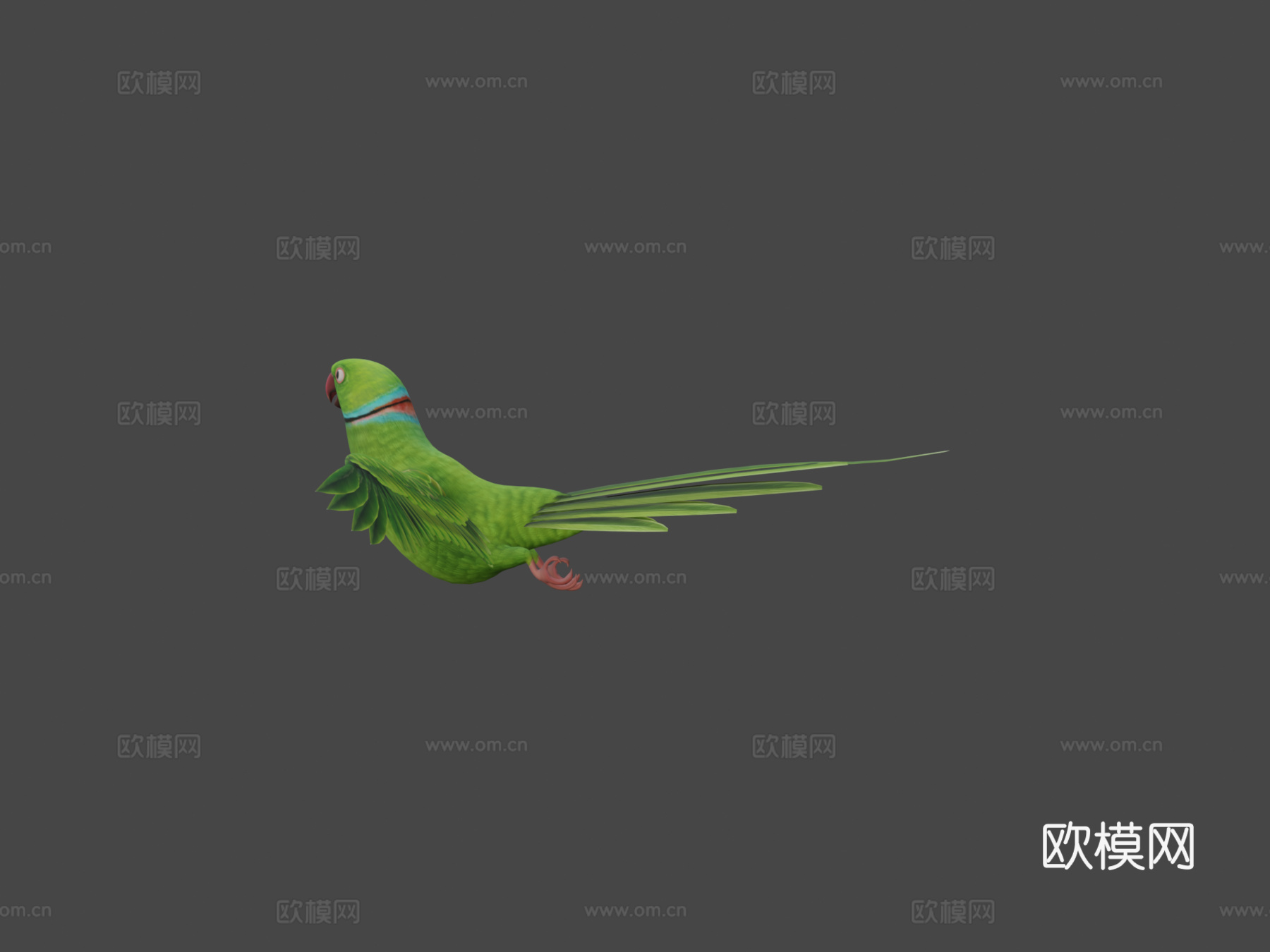 鹦鹉3d模型下载（渲染图5）
