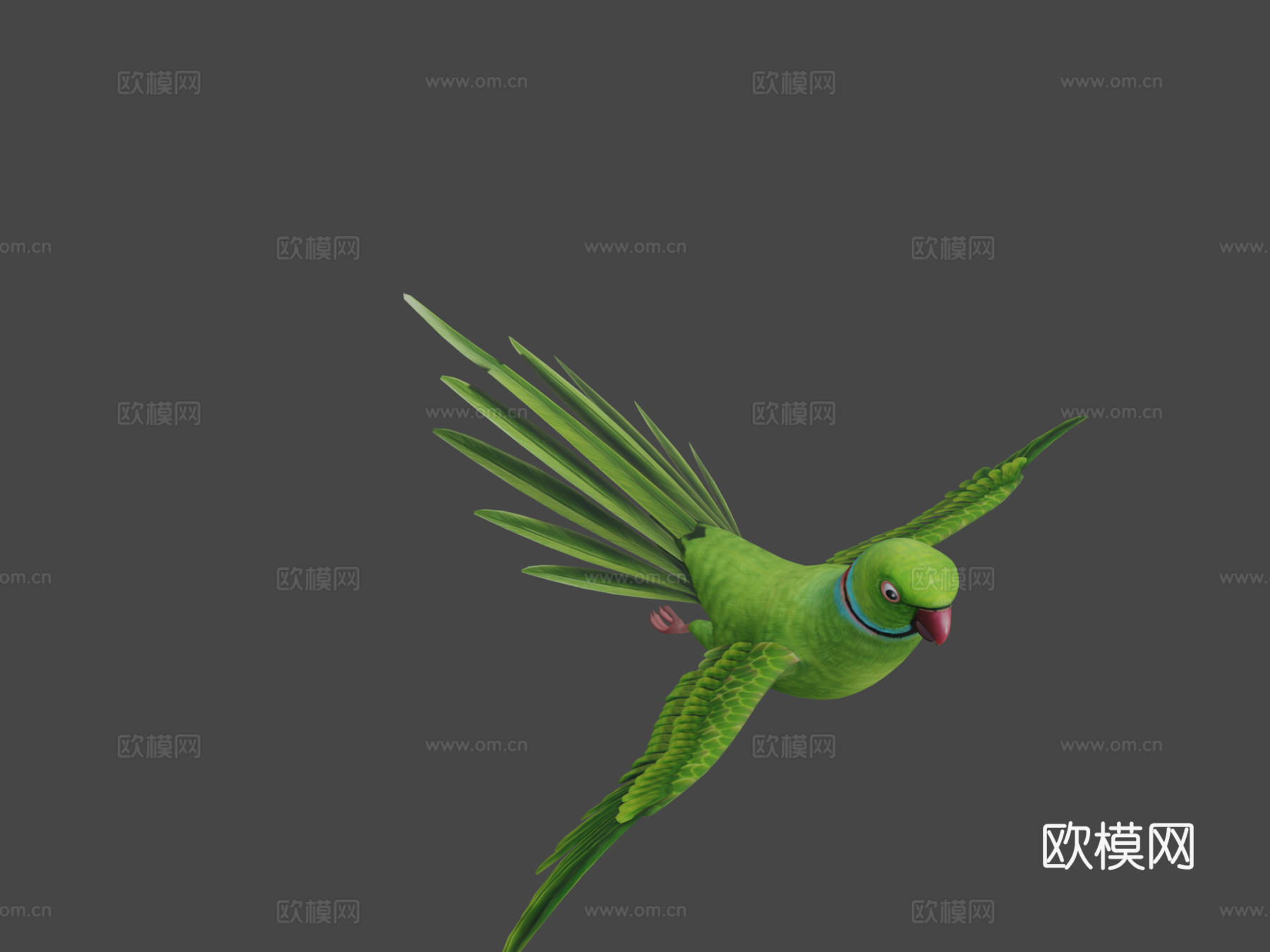 鹦鹉3d模型下载（渲染图6）