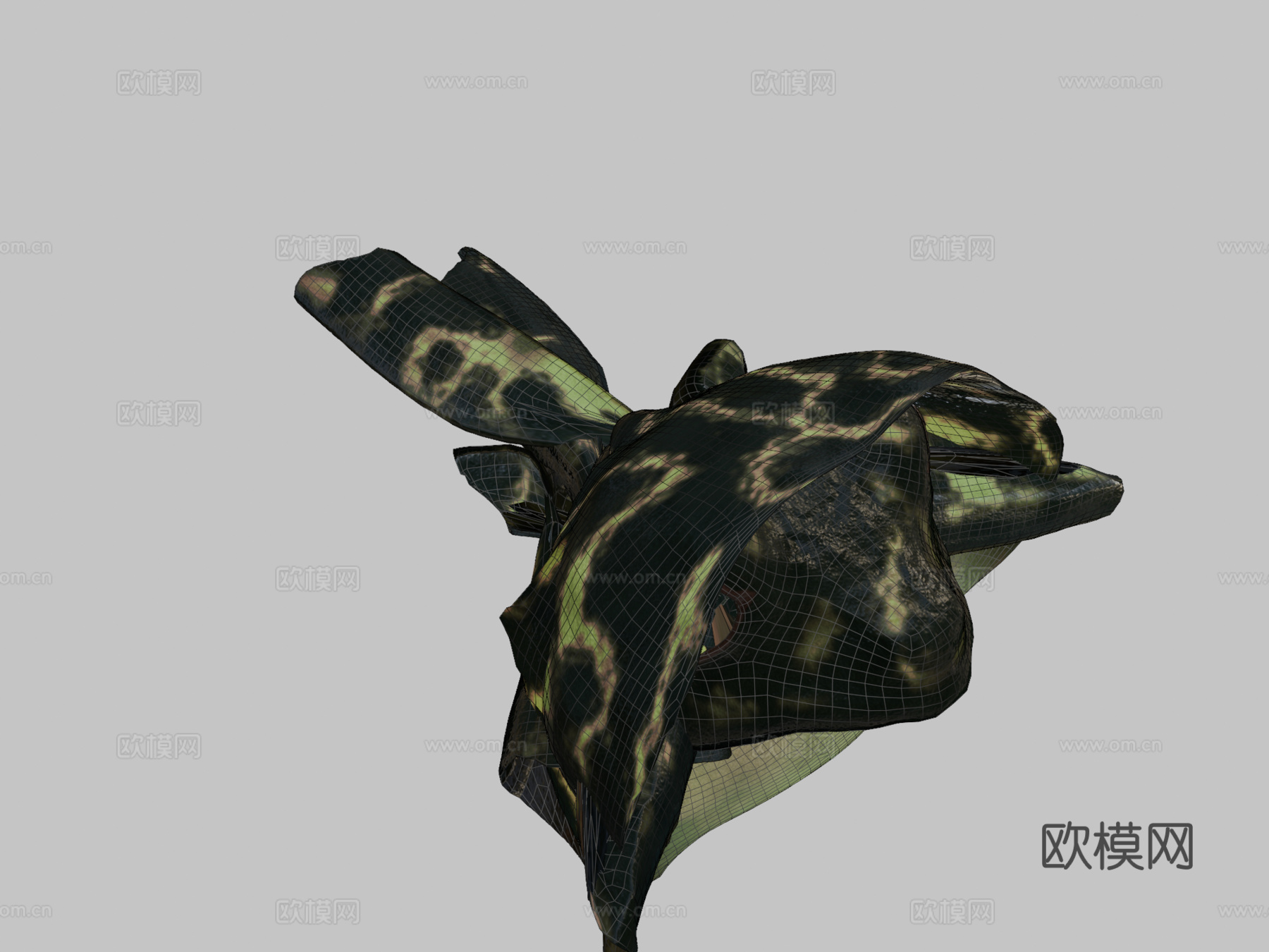 A  里根巴赫芦苇蛙3d模型下载（渲染图2）