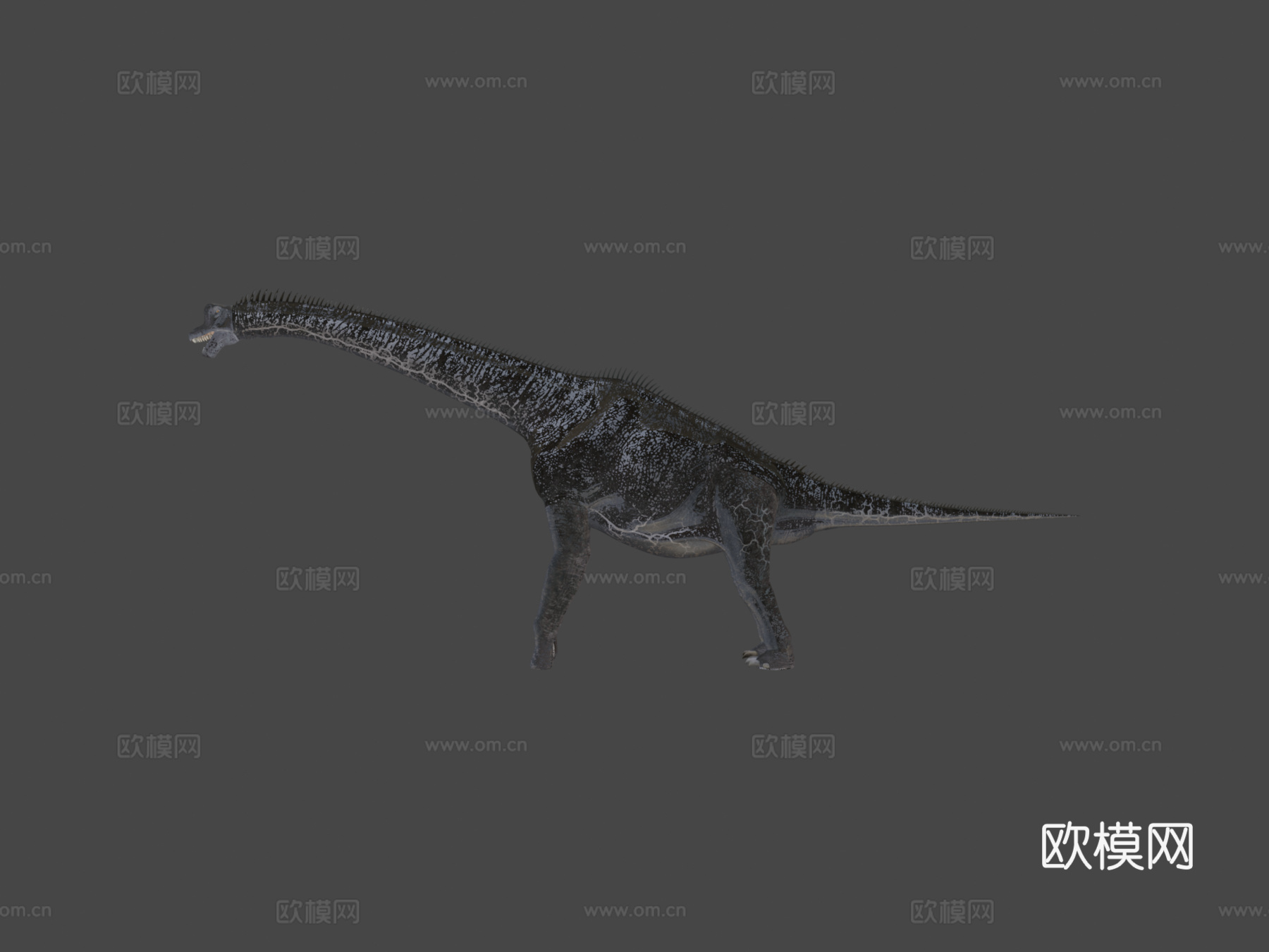 腕龙3d模型下载（渲染图8）