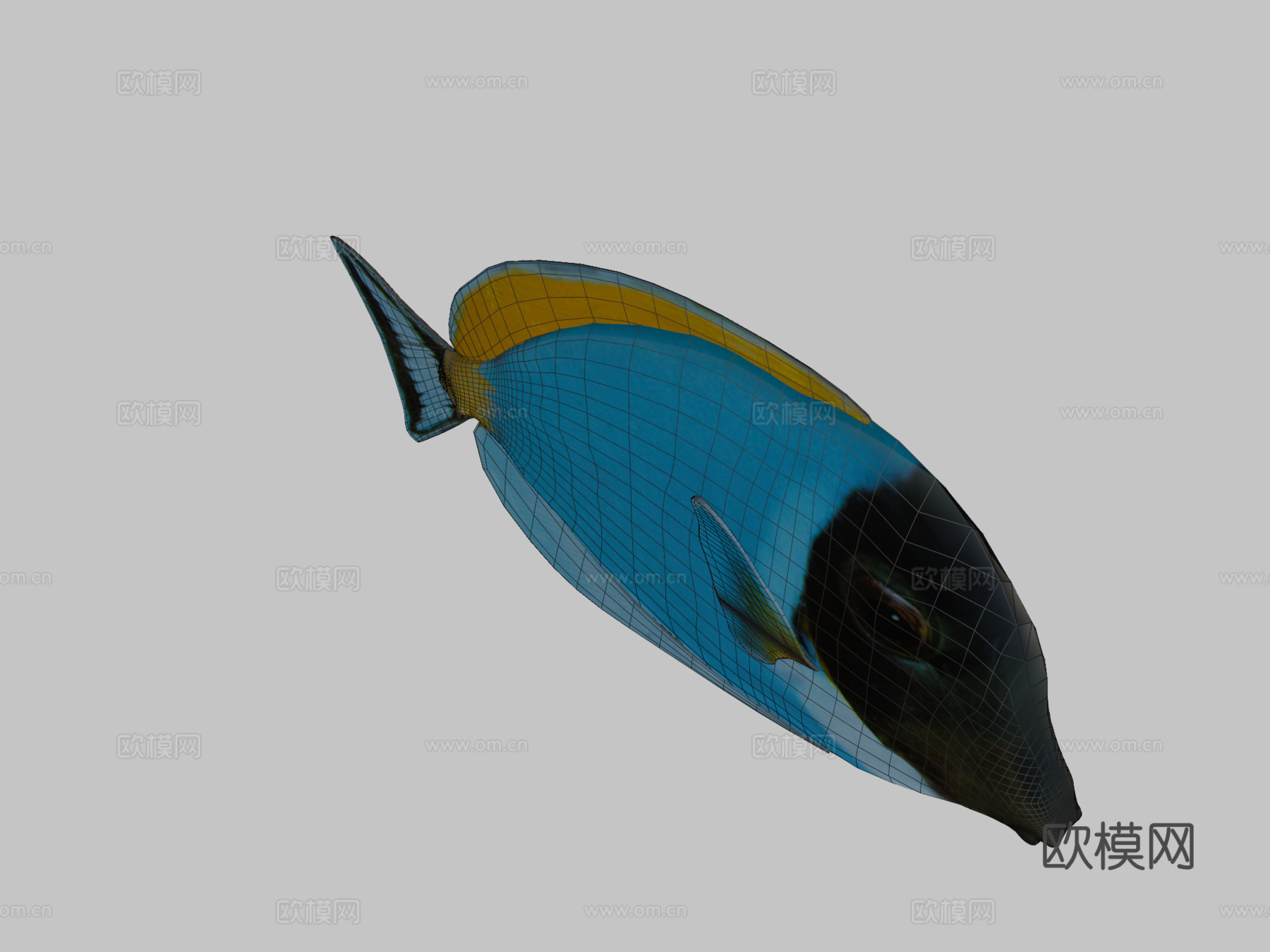 迟钝鱼Blender2.80及其他格式3d模型下载（渲染图2）