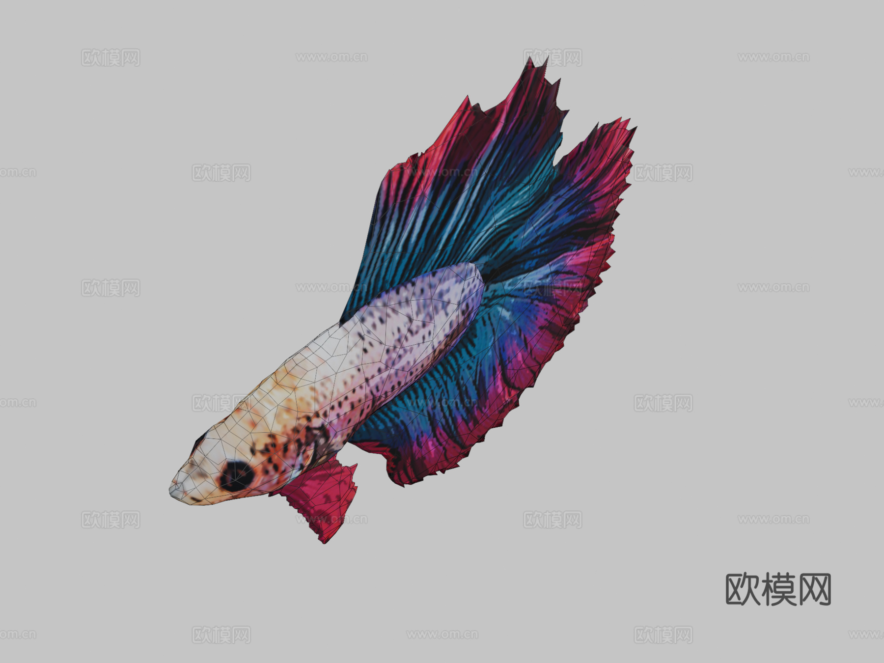 斗鱼3d模型下载（渲染图2）