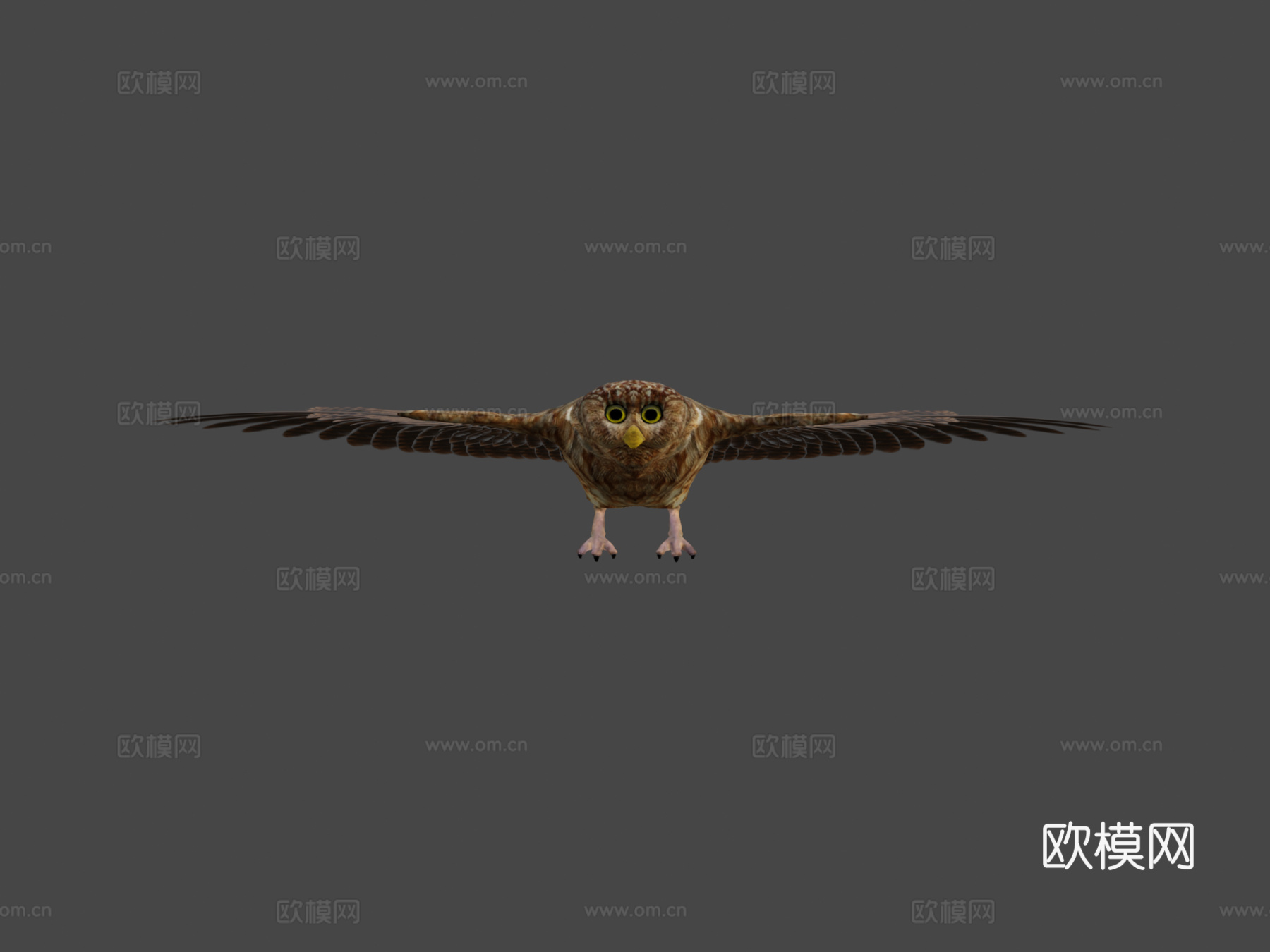 猫头鹰3d模型下载（渲染图6）