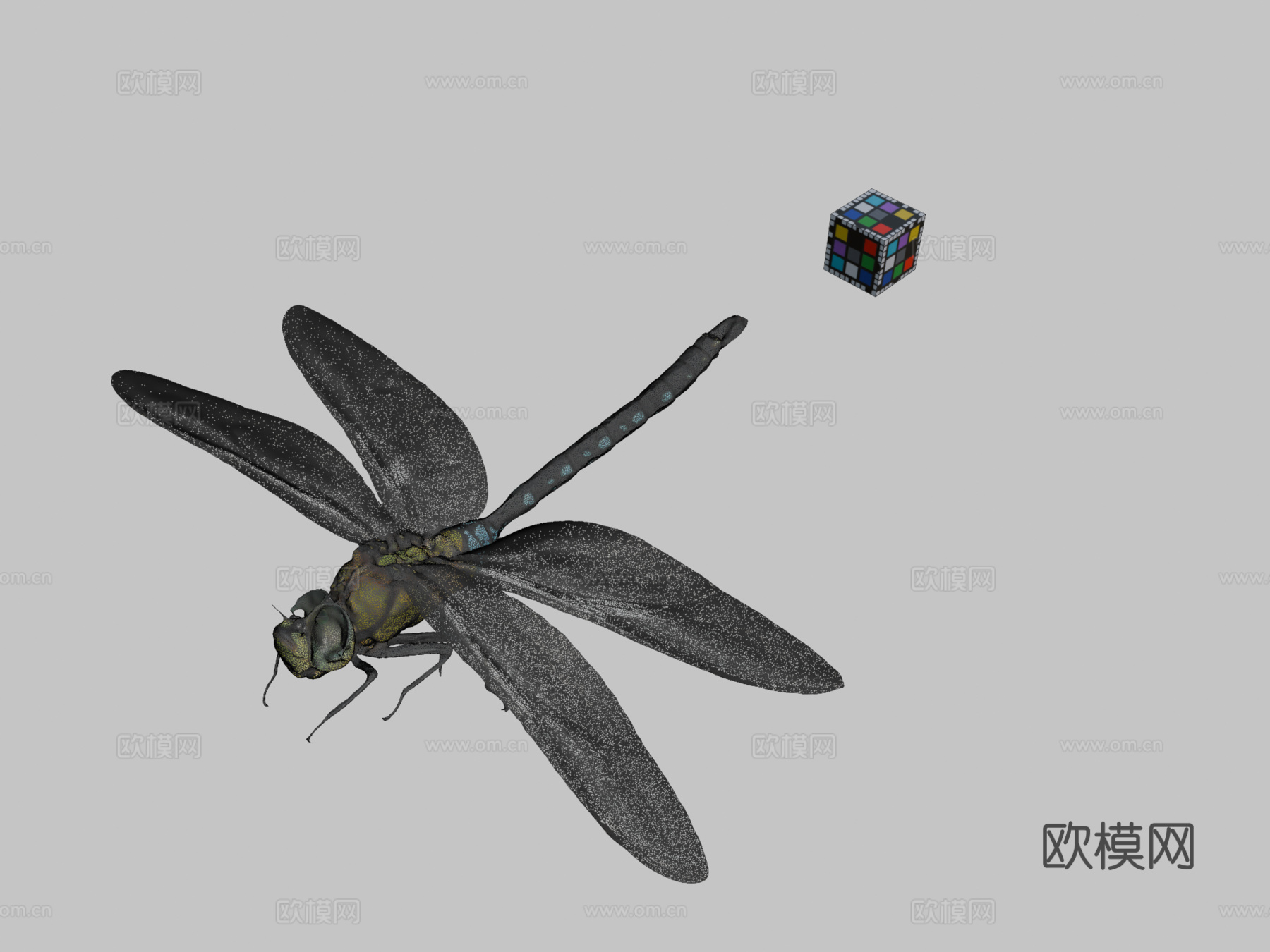 CC0黑纹小皇帝蜻蜓3d模型下载（渲染图2）