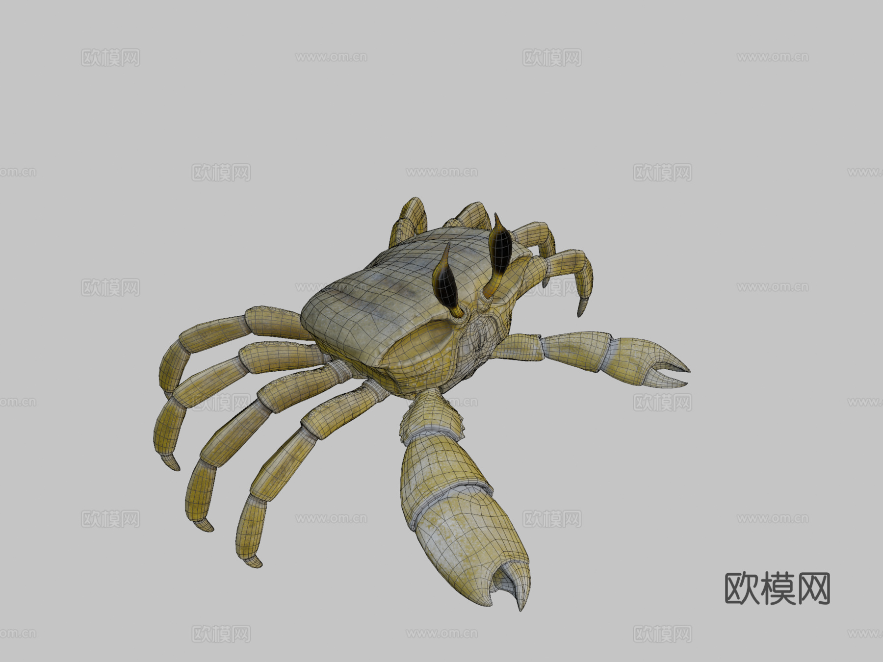 幽灵蟹3d模型下载（渲染图2）