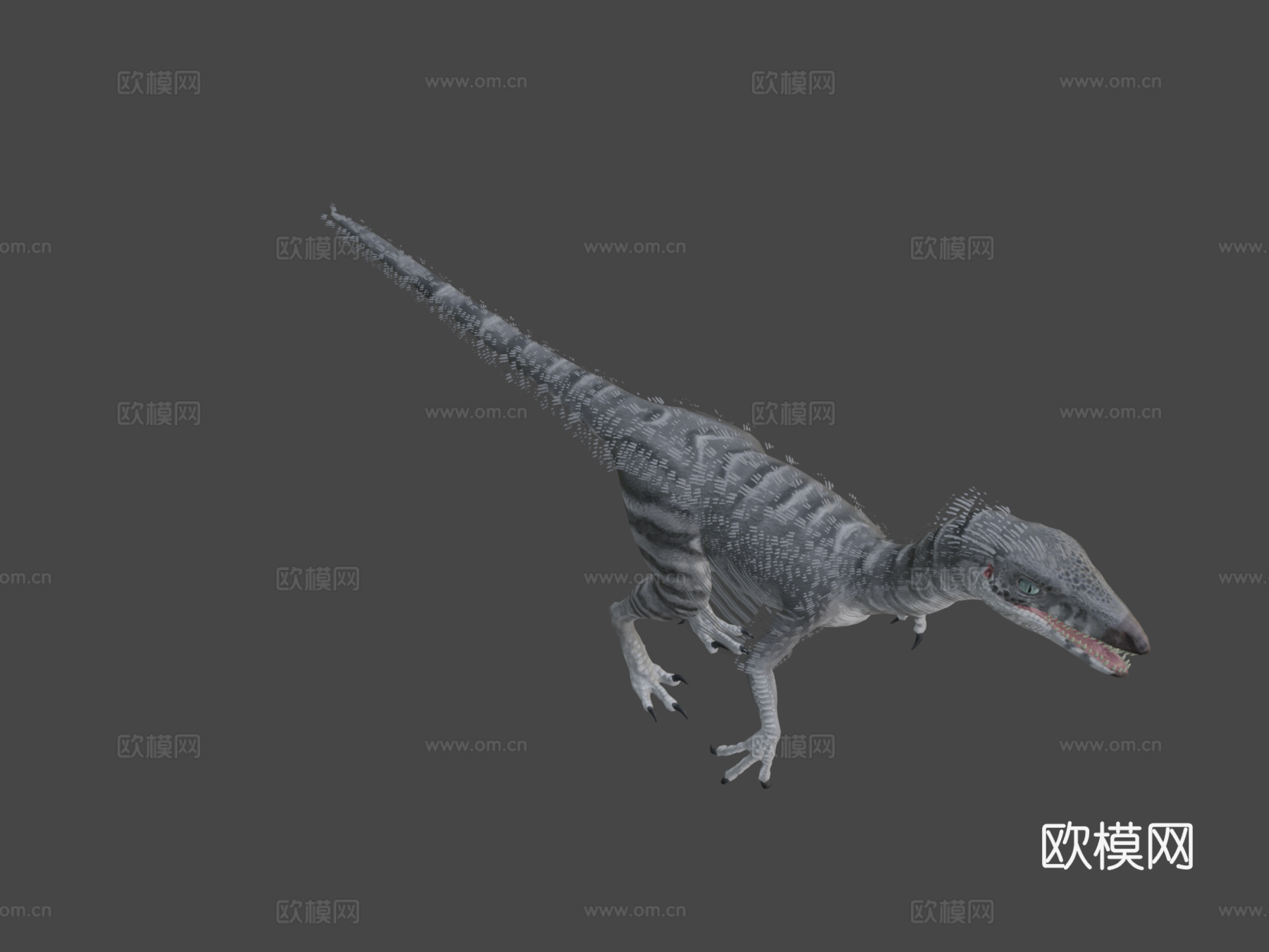 伤齿龙3d模型下载（渲染图8）