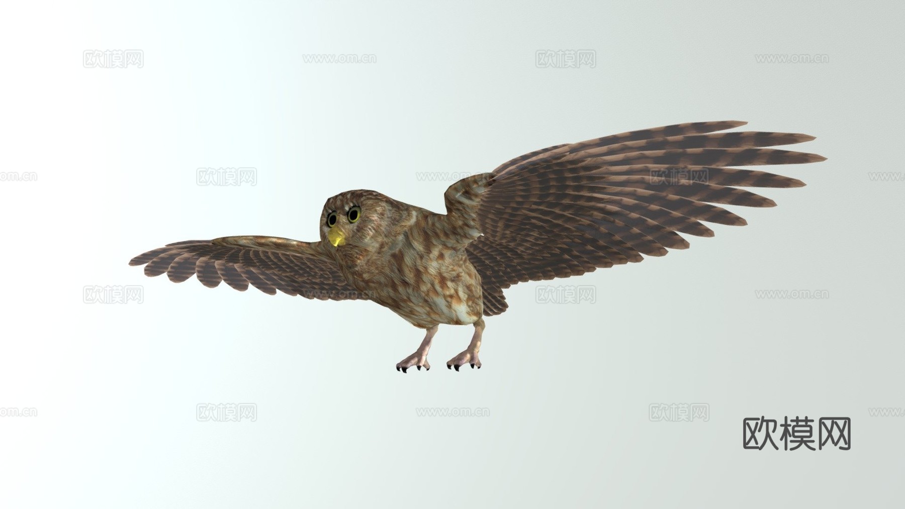 猫头鹰3d模型下载（渲染图1）