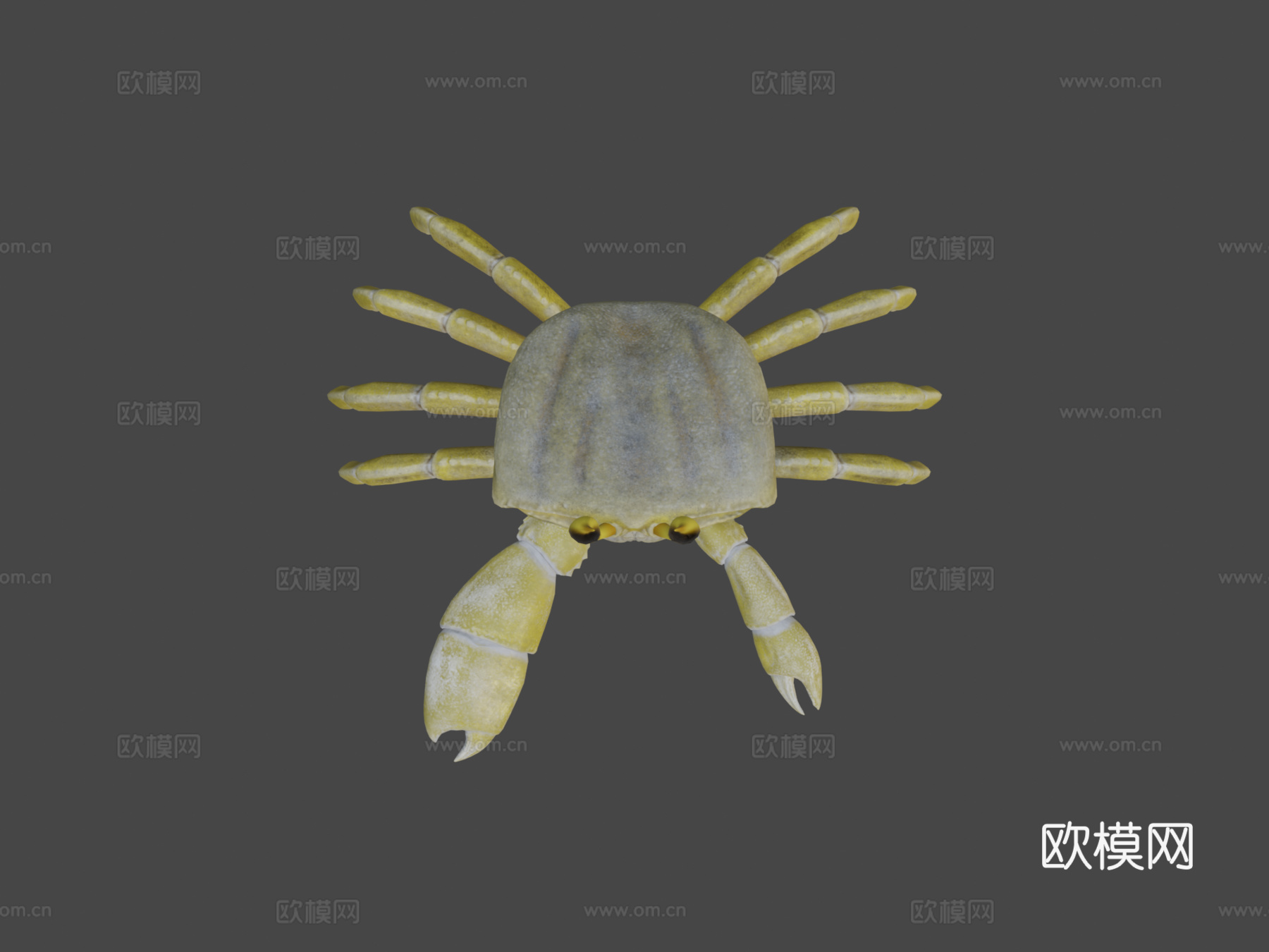 幽灵蟹3d模型下载（渲染图7）