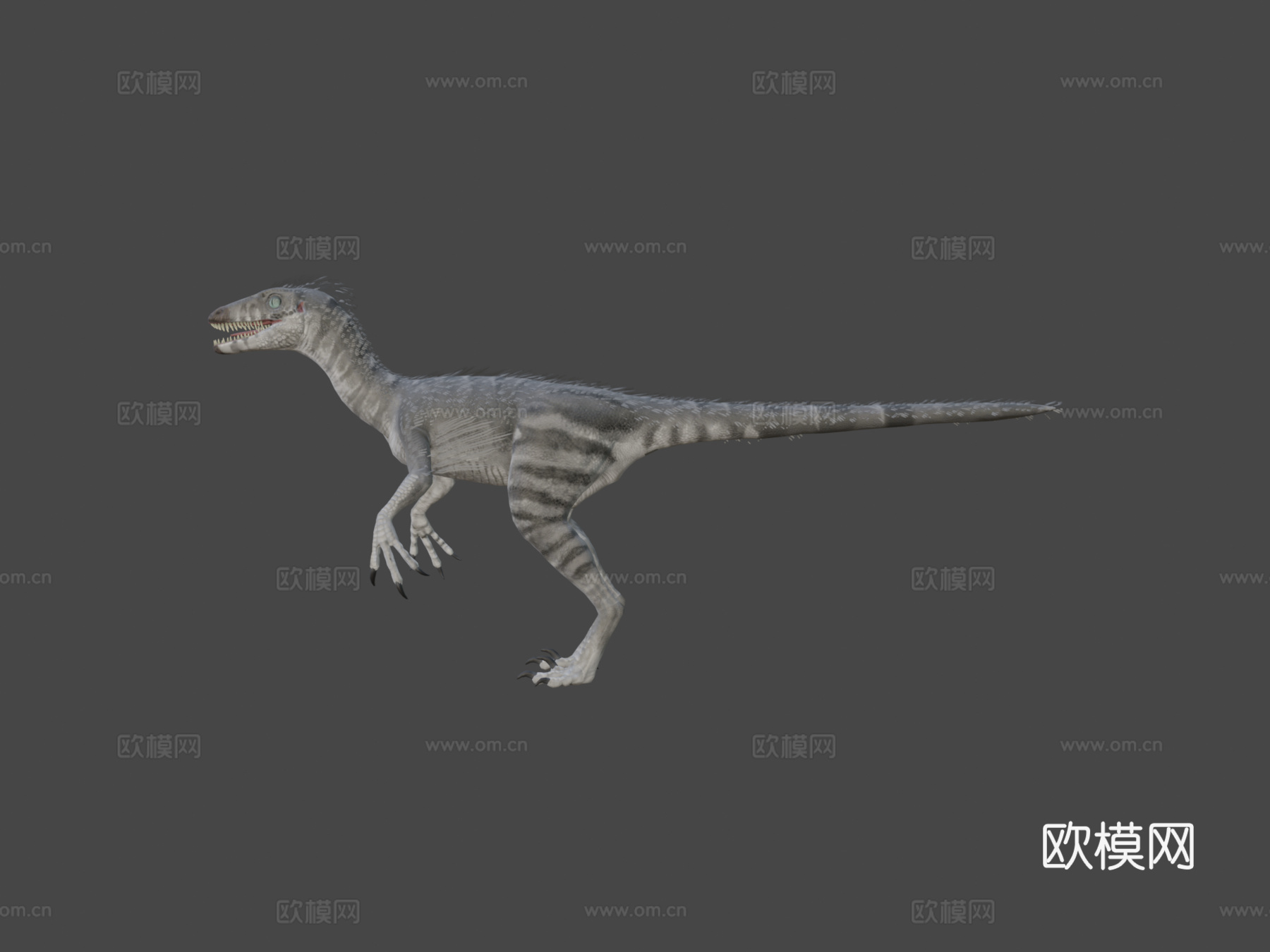 伤齿龙3d模型下载（渲染图6）