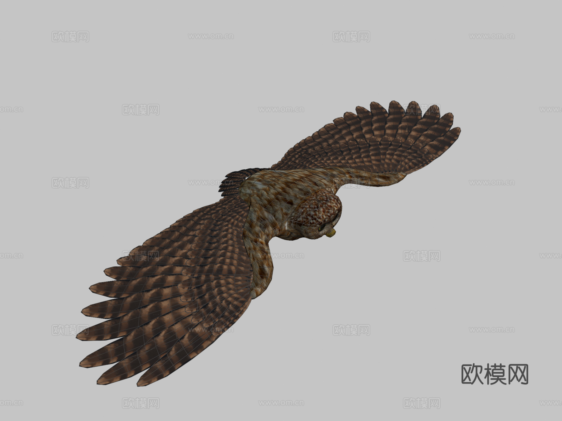 猫头鹰3d模型下载（渲染图2）