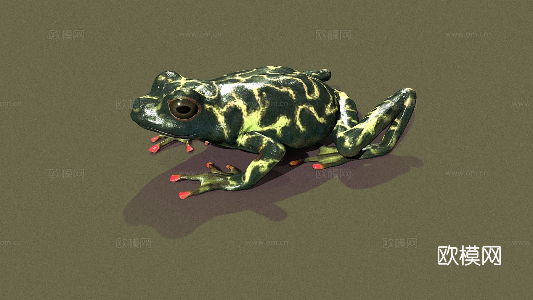 A  里根巴赫芦苇蛙3d模型下载（渲染图1）