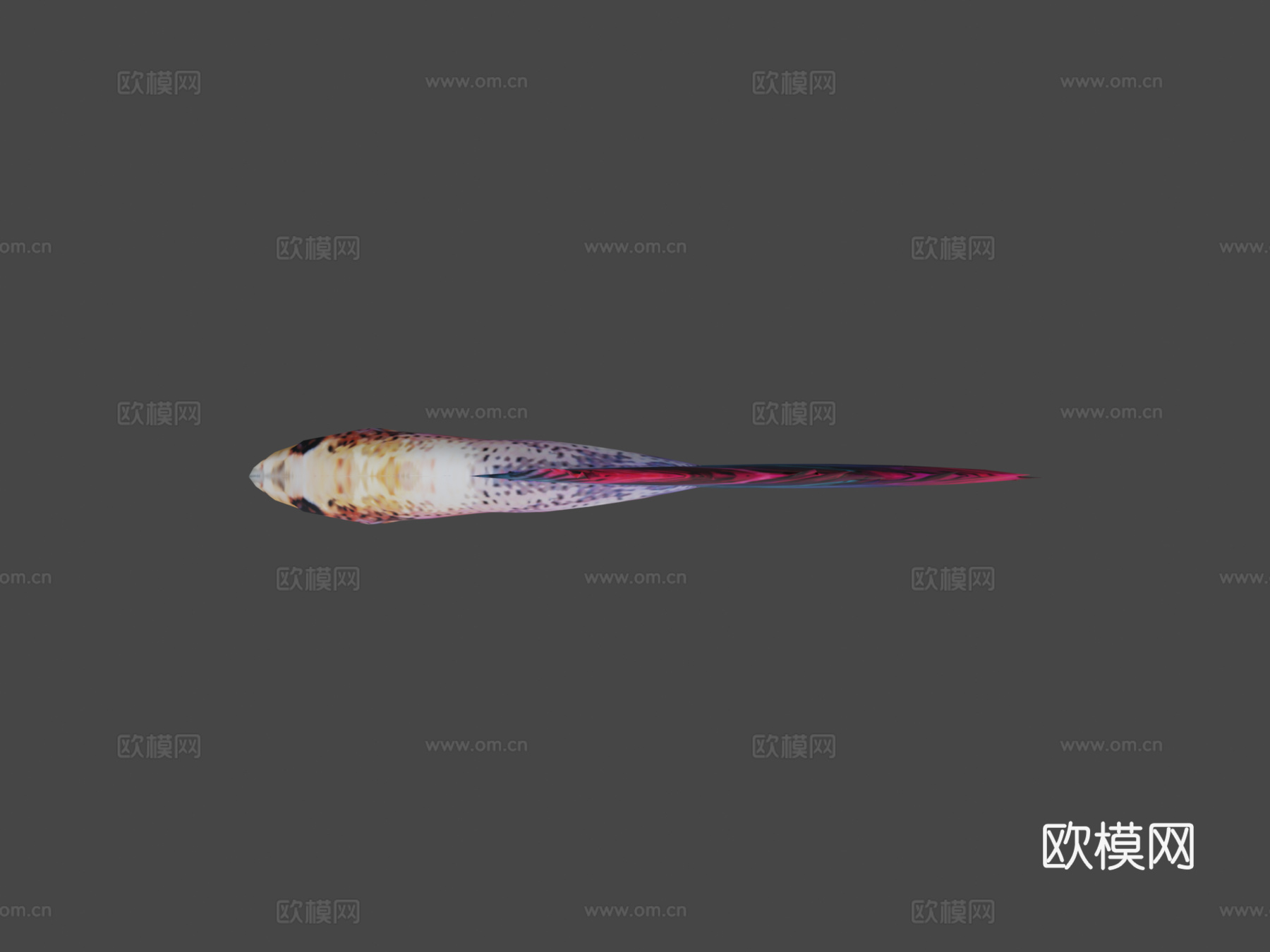斗鱼3d模型下载（渲染图5）