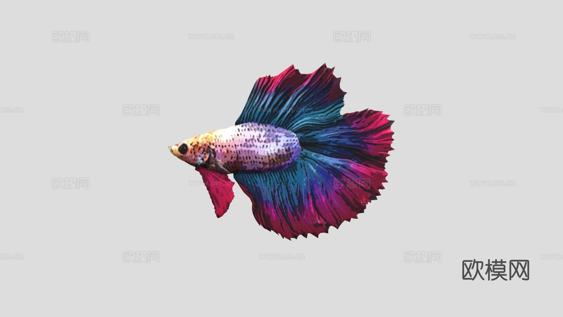 斗鱼3d模型下载（渲染图1）