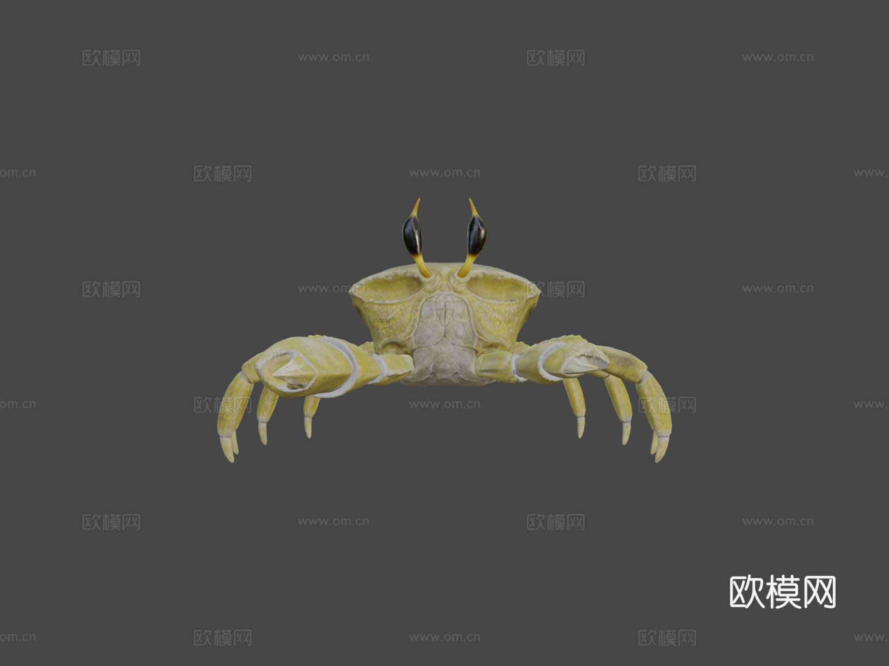 幽灵蟹3d模型下载（渲染图6）