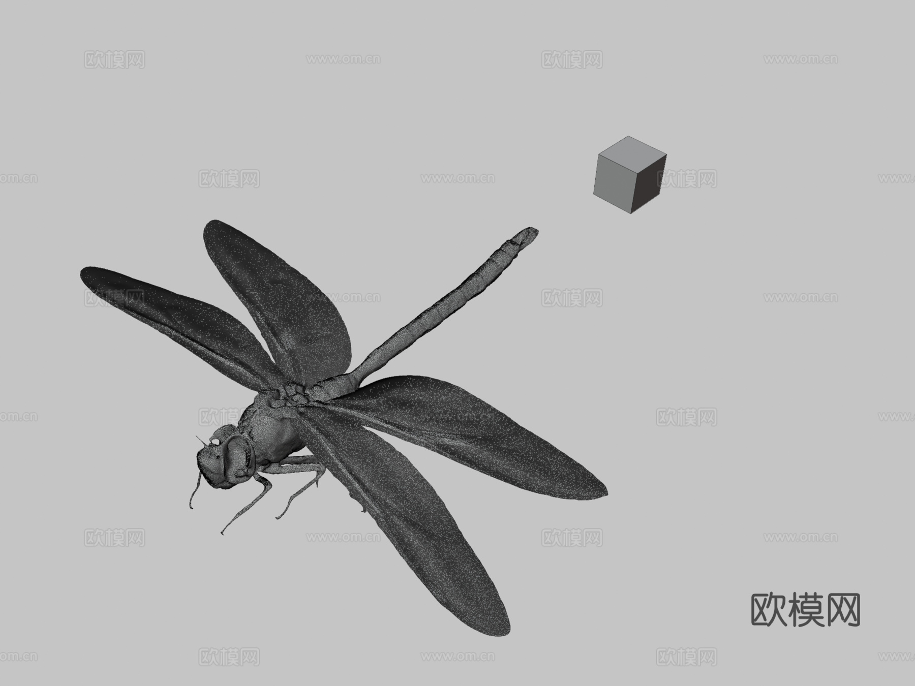 CC0黑纹小皇帝蜻蜓3d模型下载（渲染图3）