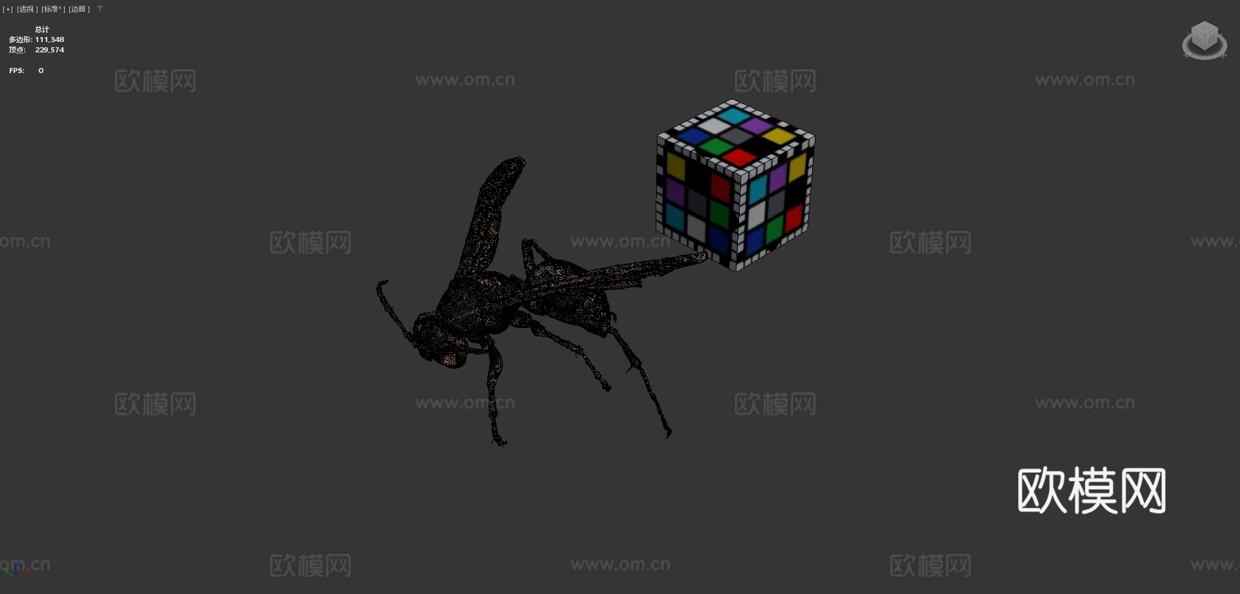 CC0 黑腹长脚蜂  暗腰纸蜂3d模型下载（渲染图4）